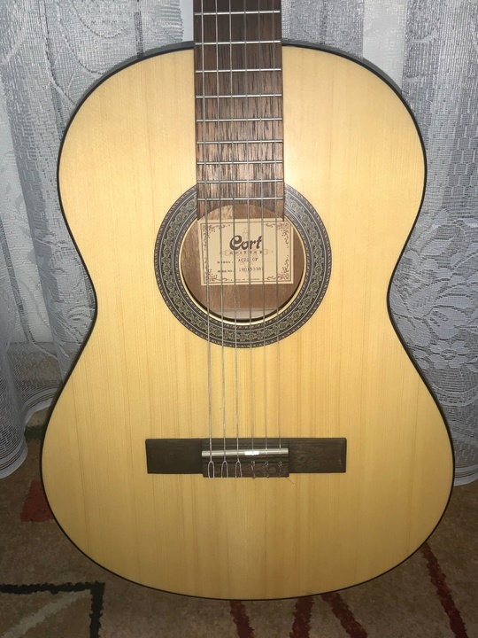 Продам гитару Cort 3/4 +чехол
В (1)