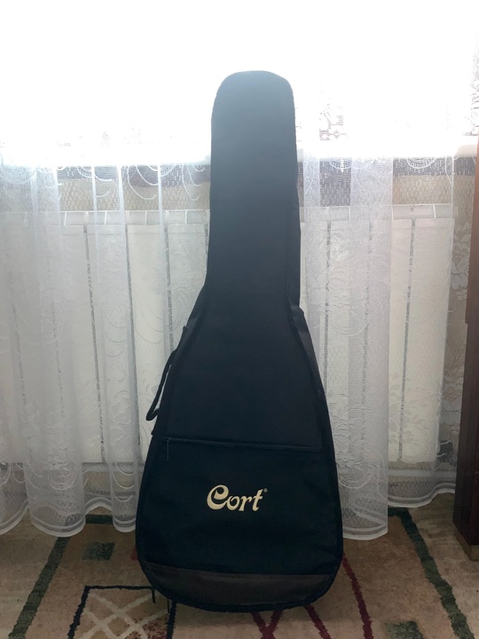 Продам гитару Cort 3/4 +чехол
В (3)