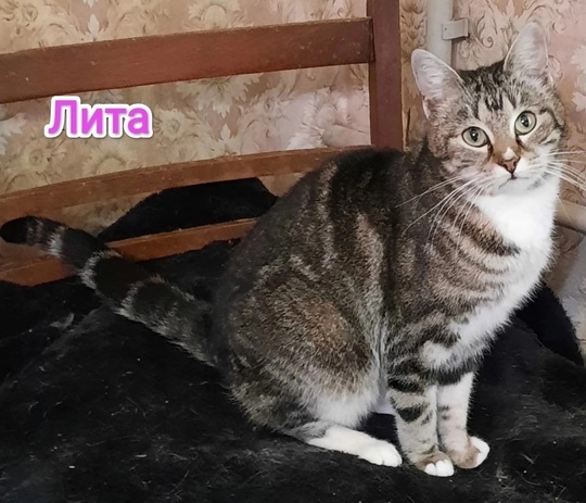 Алчевск. лНР.
Зима состарившись ушла,
Весна в (1)