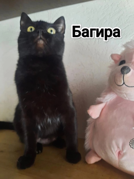 Алчевск. лНР.
Зима состарившись ушла,
Весна в (3)