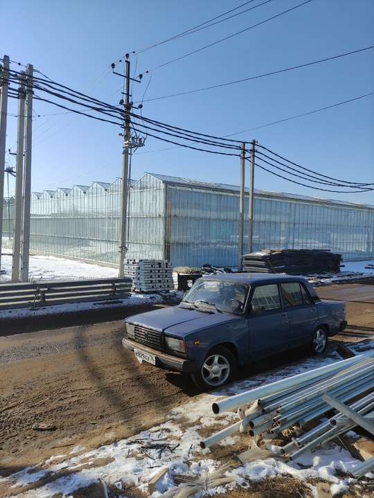 Автомобиль: ВАЗ 2107
Город осмотра: Ярославль
Год: (3)