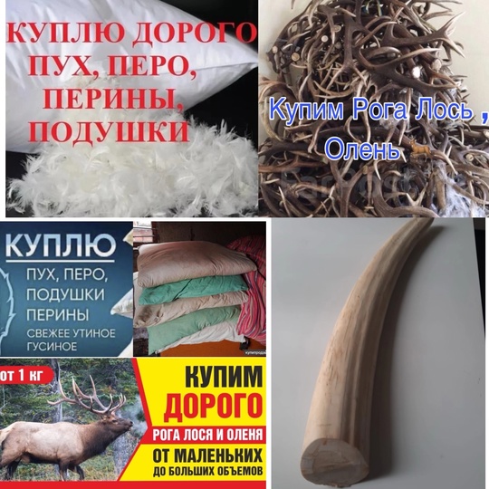 Куплю пух Перо пирины подушки