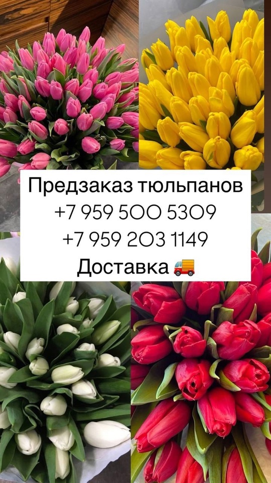 Продажа тюльпанов к 8 марта