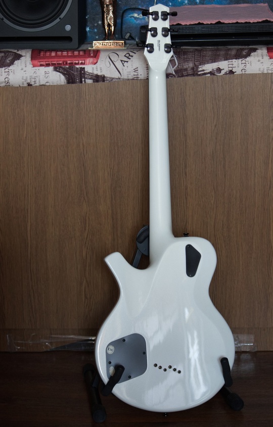 Продам-Parker PM20 PRO PW Electric (1)