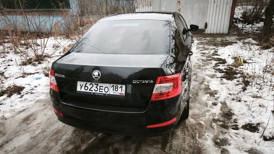 Продам Шкоду Октавию 2016 года. (6)