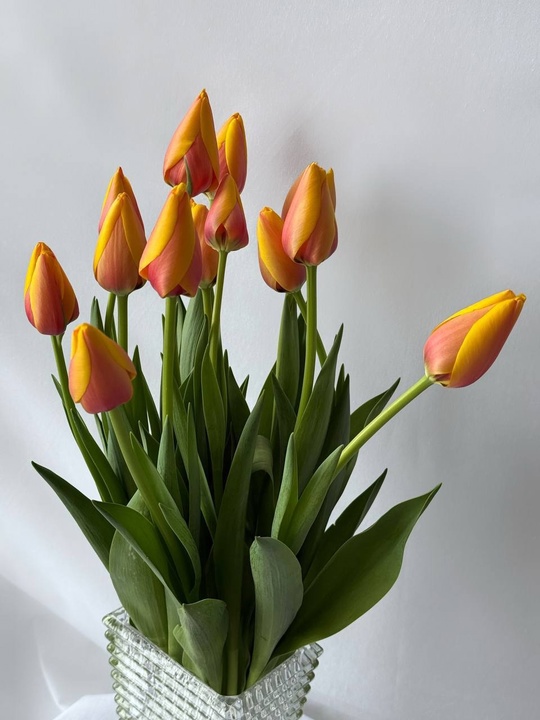 Девочки❤️
Ко дню 8 марта есть (3)