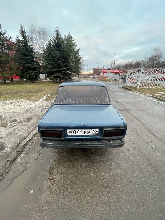 07 карб 3 год
Новый Радик (3)