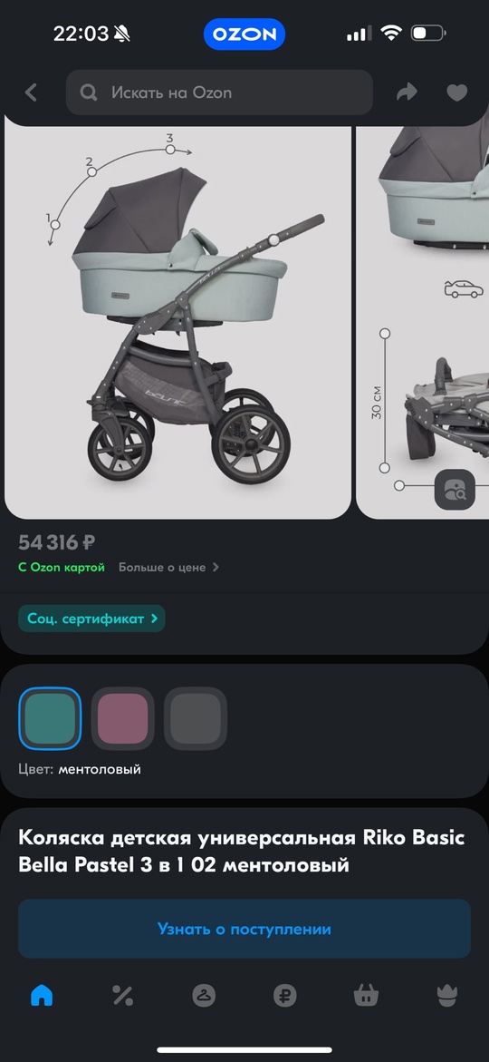 Продам коляску RIKO BASIC BELLA (6)