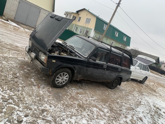 Продаю своего верного коня никогда (2)
