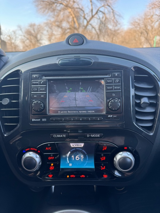 Продам Nissan Juke 2011 год (9)