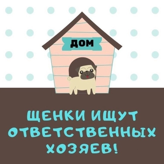 Алчевск.ЛНР.
Ненужные как мягкие игрушки,
И стерить (5)