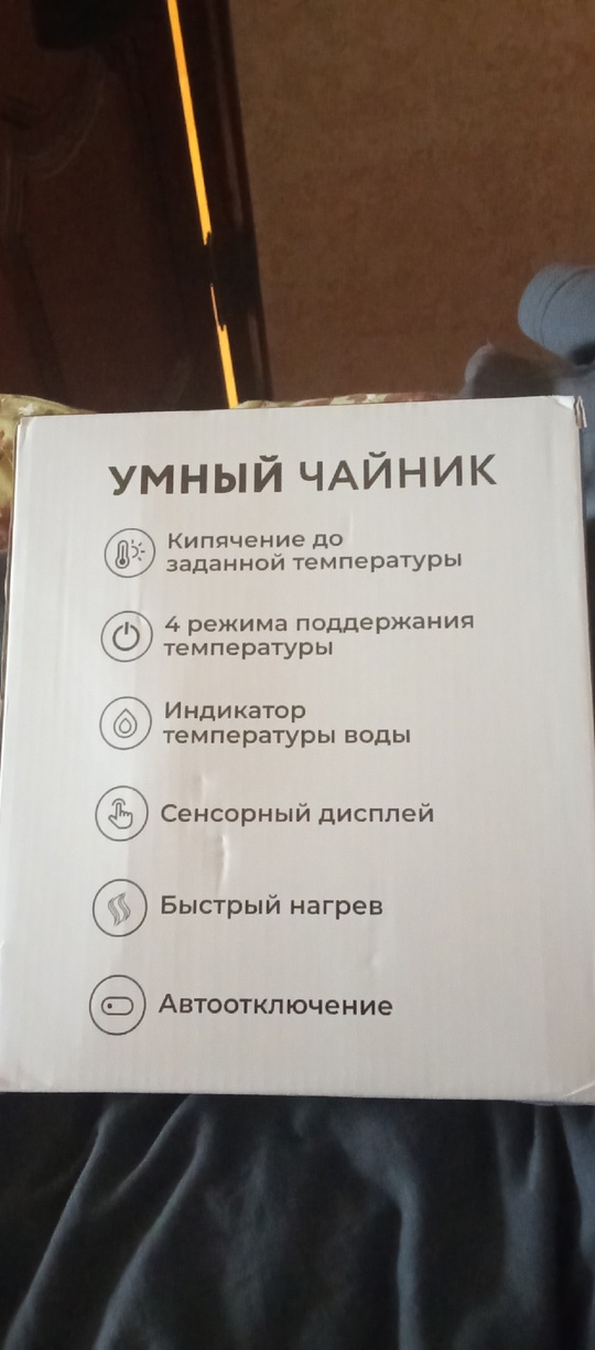 Новый чайник умный с Алисой (1)