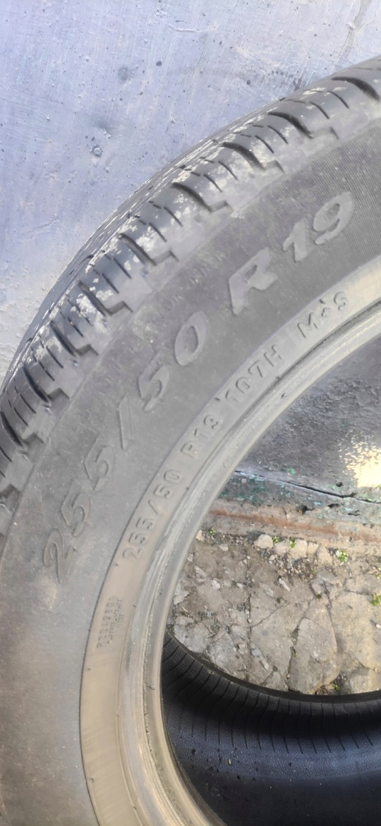 Продам живую резину 255.50.19. Пирелли (2)