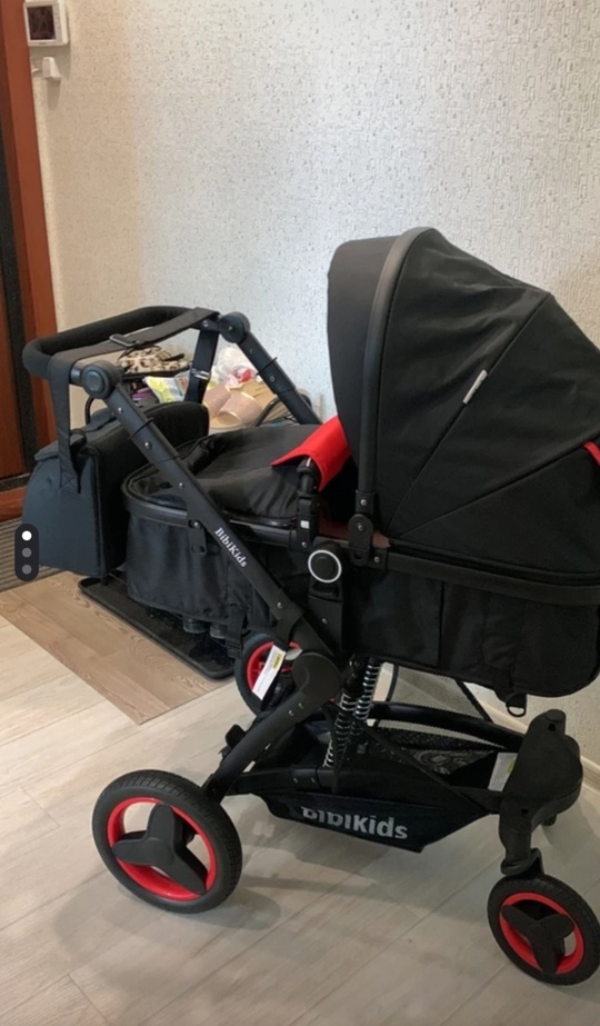 Продам коляску 2 в 1 (1)