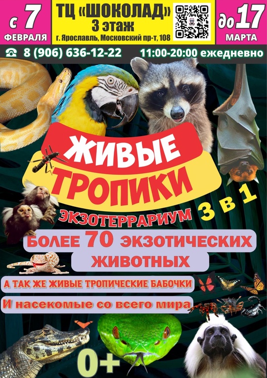 Успевайте! 16 марта последний рабочий