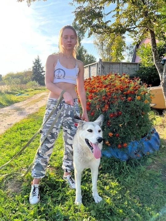 Большой плюшевый медведь Джони Молодой, (2)