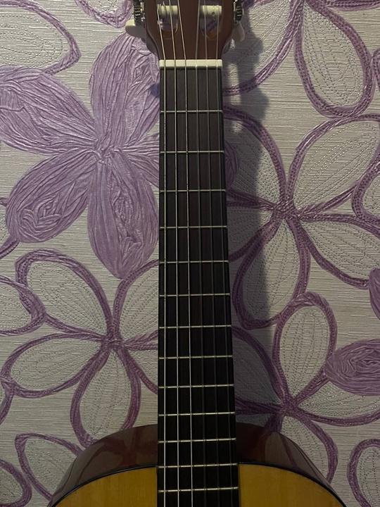 гитара hohner классика 
9000 руб (4)