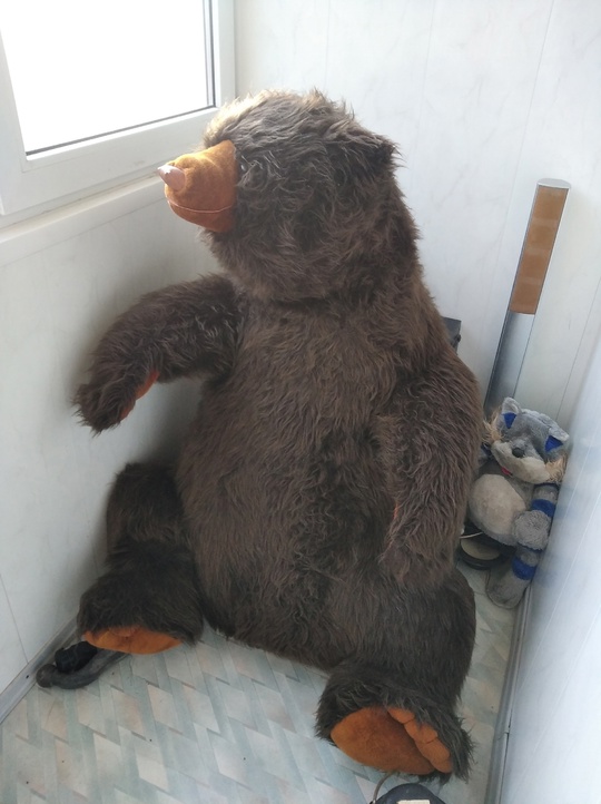 ДНР , Донецк , Буд-й