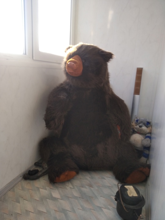 ДНР , Донецк , Буд-й (4)