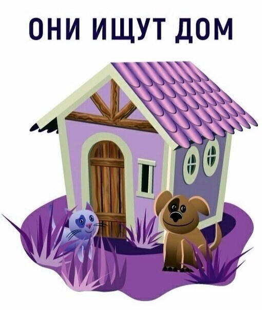 ❇Нажмите, ПОЖАЛУЙСТА, "Мне нравится"❤ и (2)