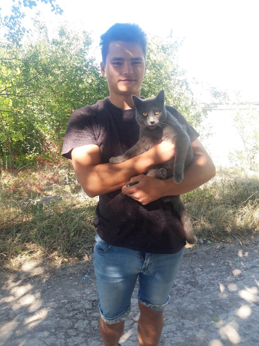 Отдам котят в добрые руки.
Папа (1)