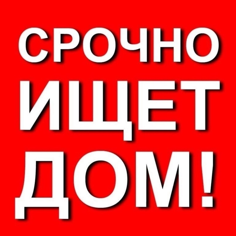 ‼️ В поисках семьи и