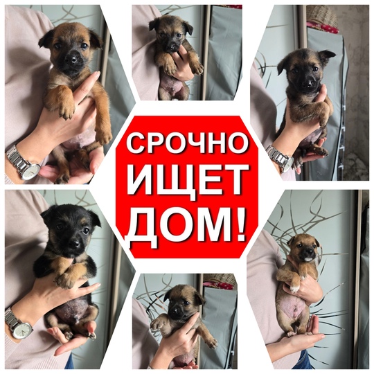‼️Малыши в поиске Дома ‼️

❗️6