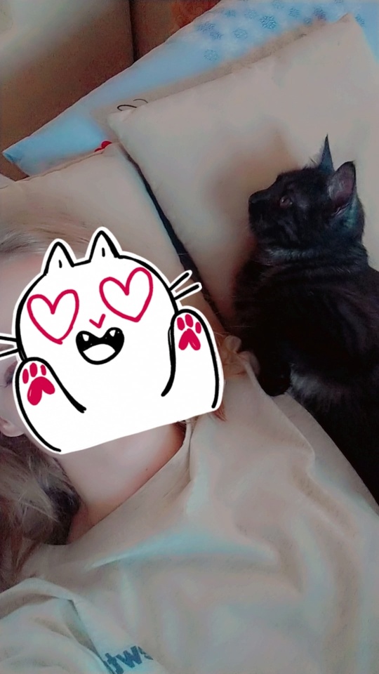 Отдам котика, очень ласковый, ходит