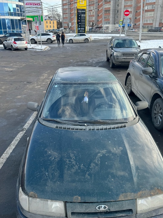 Продам,обменяю на хороший задний привод (4)