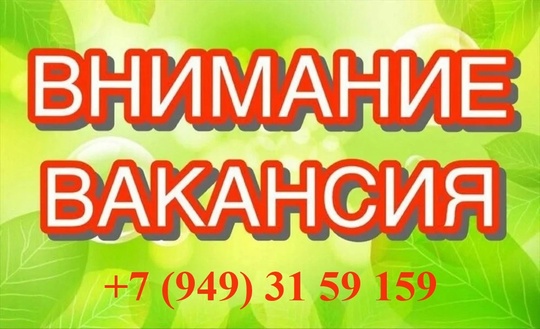 Приглашаем к сотрудничеству:
Офисные вакансии:
 
