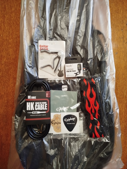 1. Электрогитара Epiphone (Gibson) Les (2)