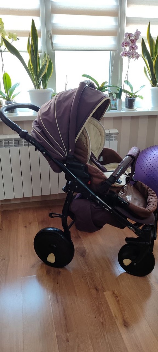 Продам коляску zippy в хорошем (5)