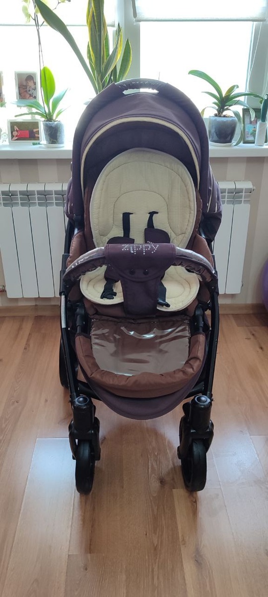 Продам коляску zippy в хорошем (6)