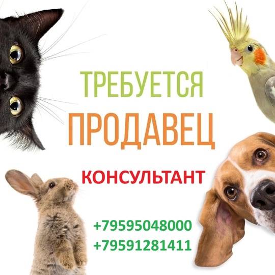 На постоянную работу требуется продавец-консультант