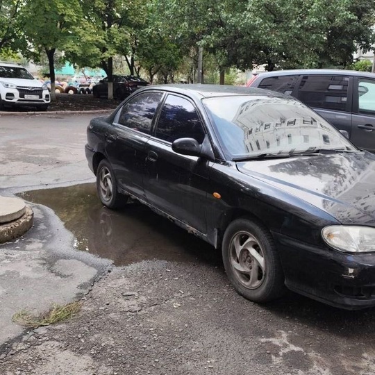 Продам кия сефия 98г, на
