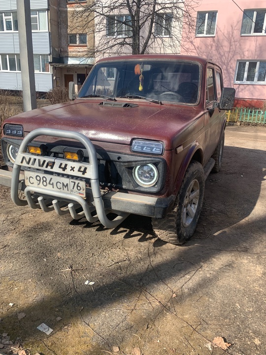 продам боевую подругу цена 350 (3)