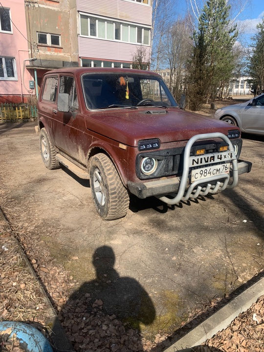 продам боевую подругу цена 350 (4)