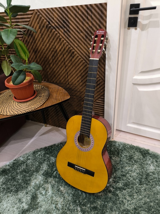 AMATI MC-6500 BN - 4000р
6-струнная