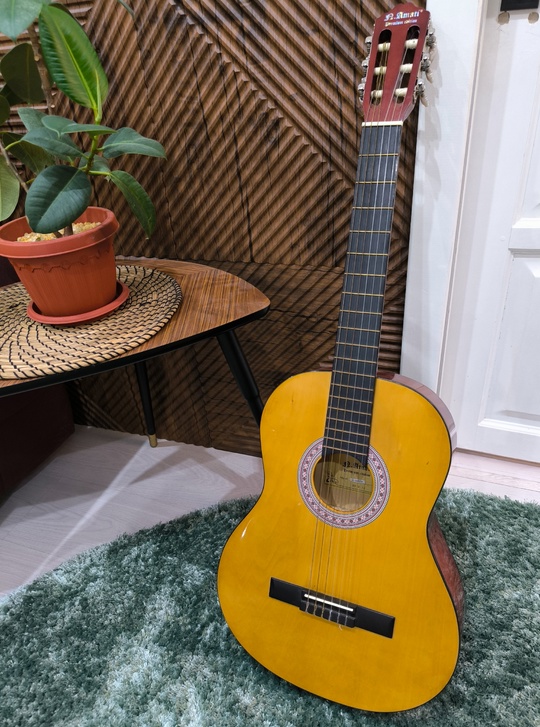 AMATI MC-6500 BN - 4000р
6-струнная (1)