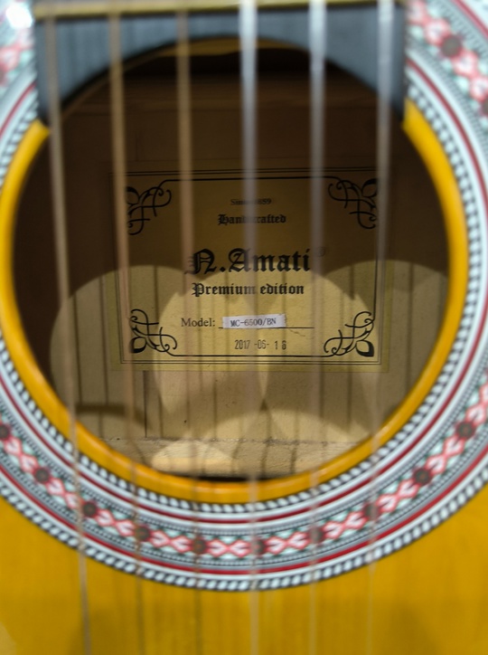 AMATI MC-6500 BN - 4000р
6-струнная (2)