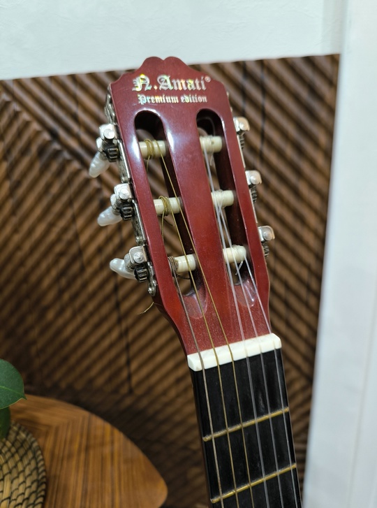 AMATI MC-6500 BN - 4000р
6-струнная (3)