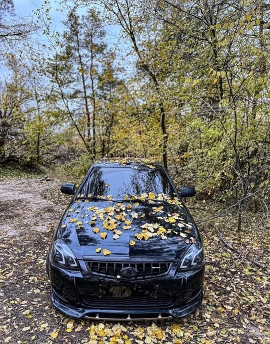 ВАЗ (LADA) Priora 1.6 MT
2011, (4)