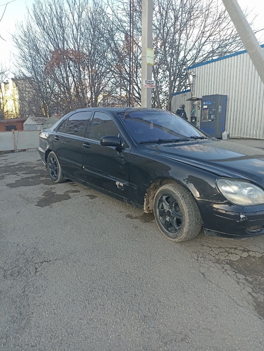 220 long на отличном ходу! (3)