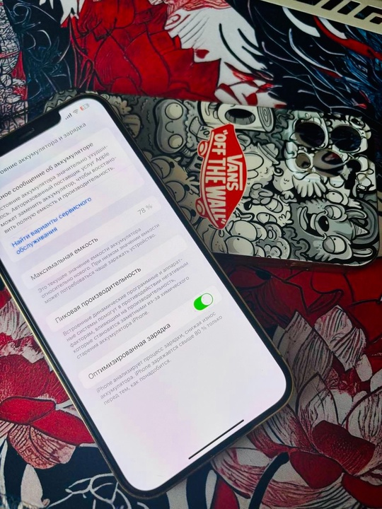 одам iPhone 12 Pro Max (2)