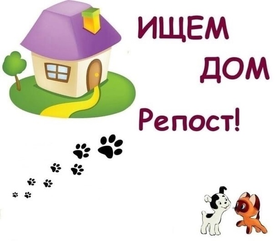 Алчевск.ЛНР.
Рождены на улице,
Ненужные совсем,
Хотят их (3)