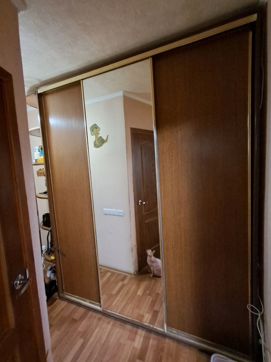 Продается шкаф-купе 250×250×45 , 12.000