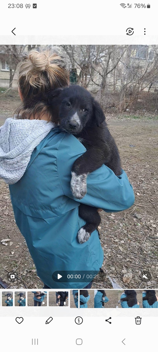 И снова Гаевого! Отдаются в (3)