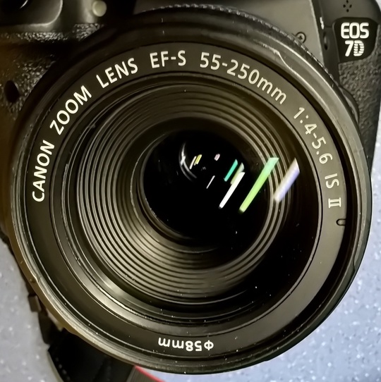 родам зеркальную камеру Canon EOS (4)