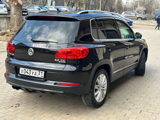 Volkswagen Tiguan 
2013 год ( (3)