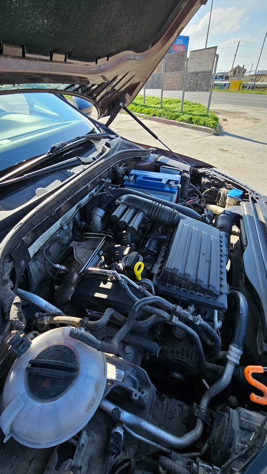 Skoda Octavia A7, 1.4 ДСГ, (7)